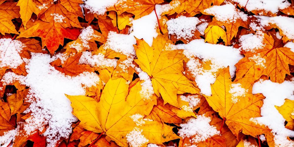 REL_Inc_Happy_Thanksgiving