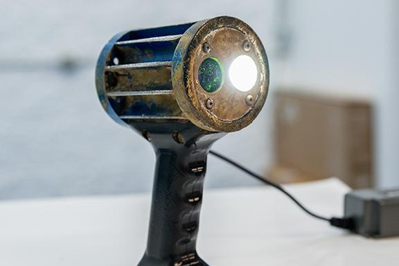 C4 Magnum-GO LED UV-A Inspection Lamp plus White Light | REL